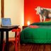 Art Factory San Telmo room in Buenos Aires with green bed, red wall, cow art, and small desk