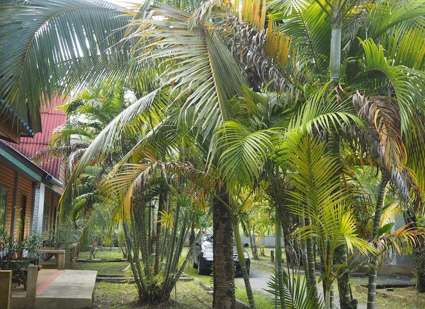 Outdoors view Photo