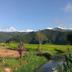 Outdoors view