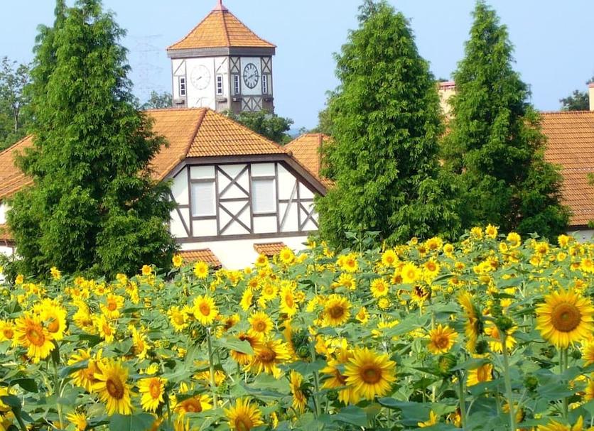 Outdoors view Photo