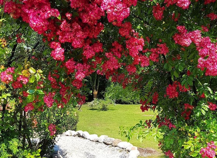 Outdoors view Photo