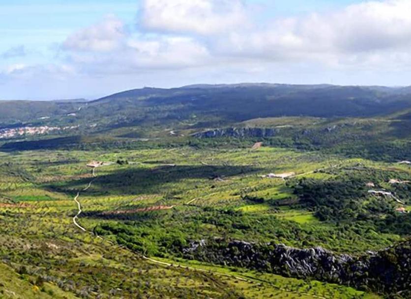 Outdoors view Photo