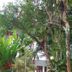 Outdoors view