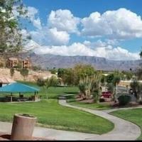 Wild Card Mesquite Vacation Rental: Pet Friendly with Community Amenities!