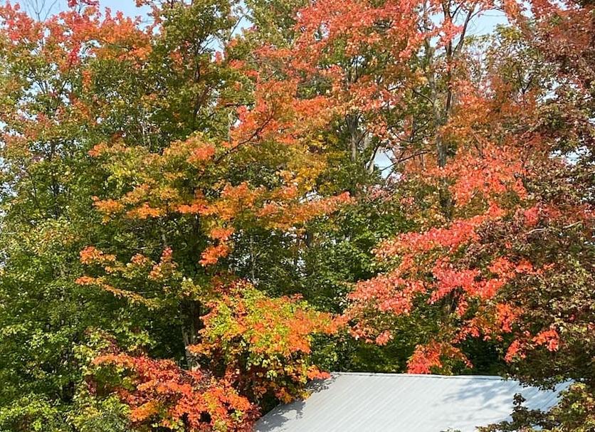 Outdoors view Photo