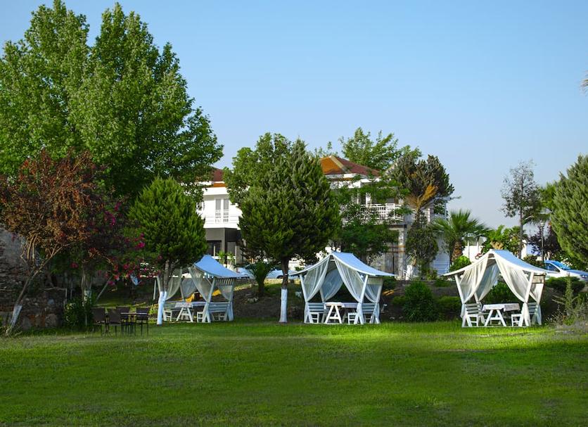 Other Photo