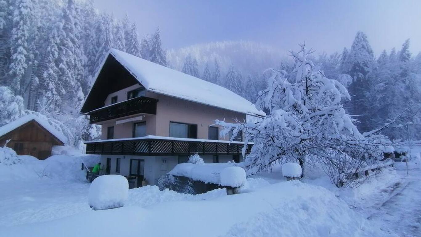 Apartments Mertelj