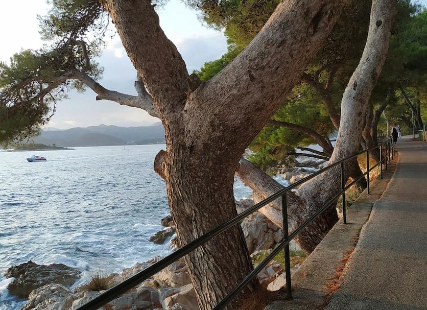 Outdoors view Photo