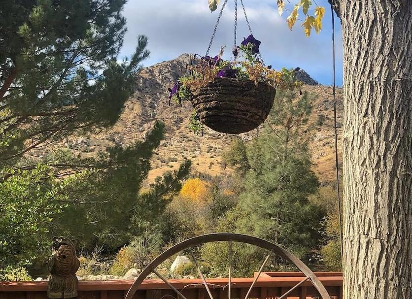 Outdoors view Photo