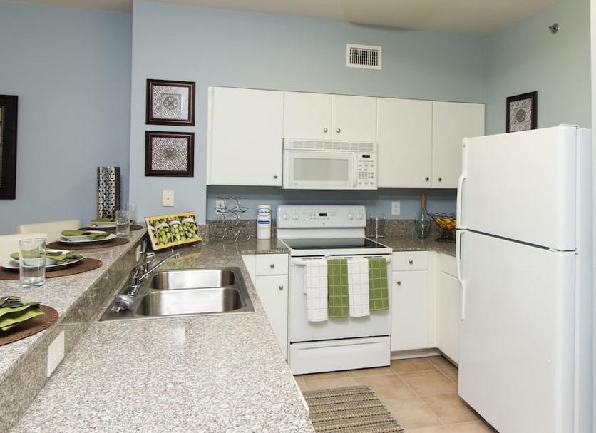 Kitchen Photo
