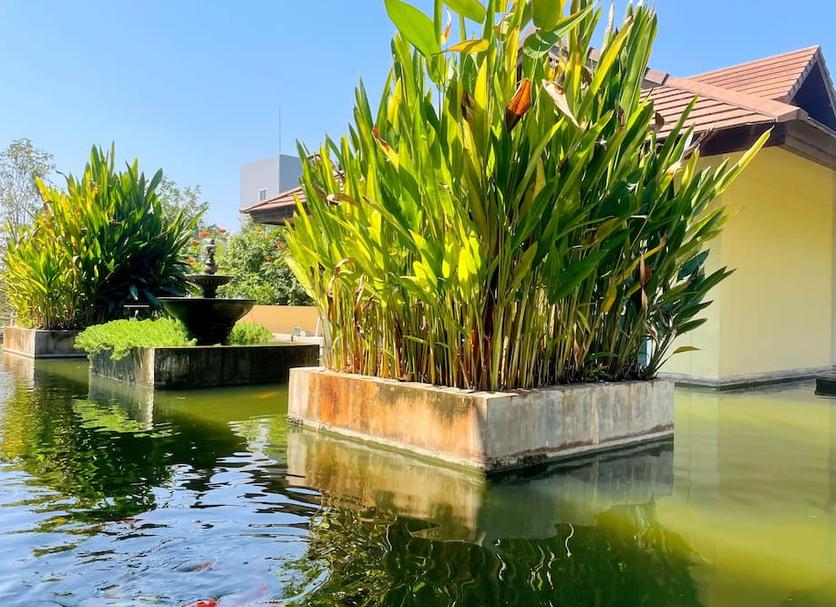 Outdoors view Photo