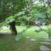Outdoors view
