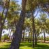 Outdoors view