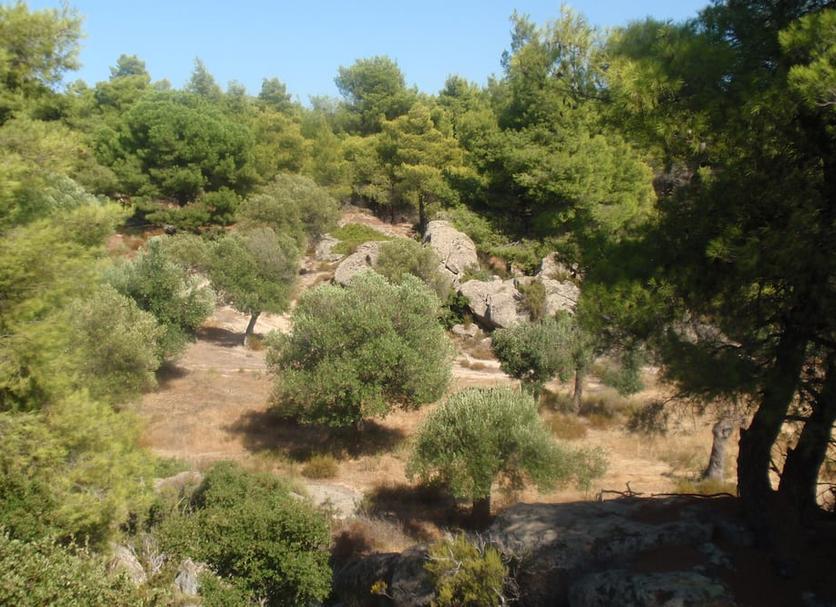 Outdoors view Photo