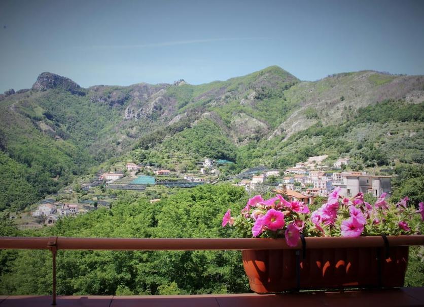 Outdoors view Photo