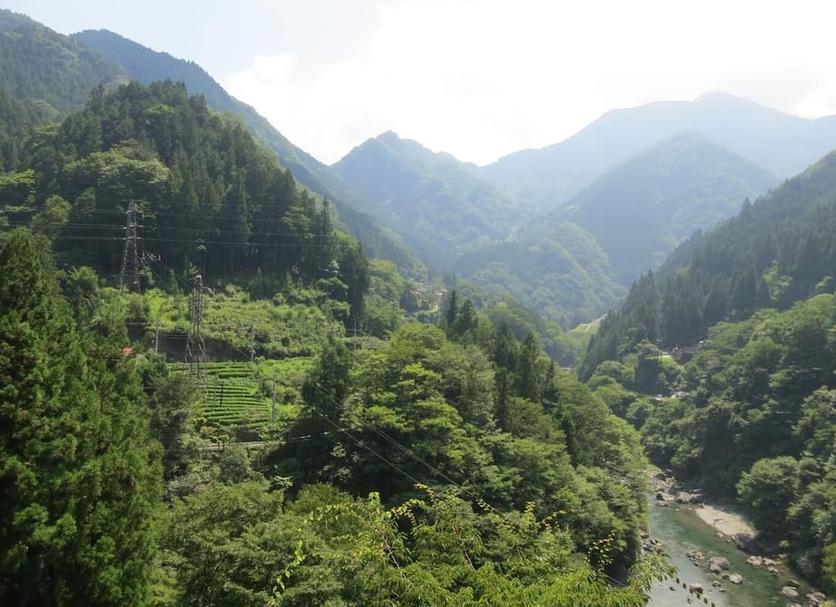 Outdoors view Photo