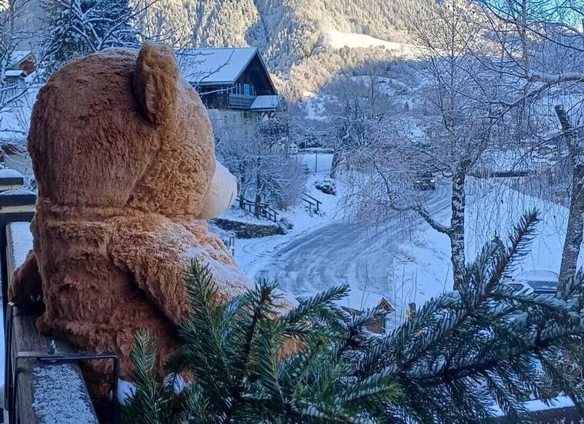 Chalet Appart'Hôtel l'Eau Vive in Saint-Nicolas-la-Chapelle overlooking a snowy mountain village