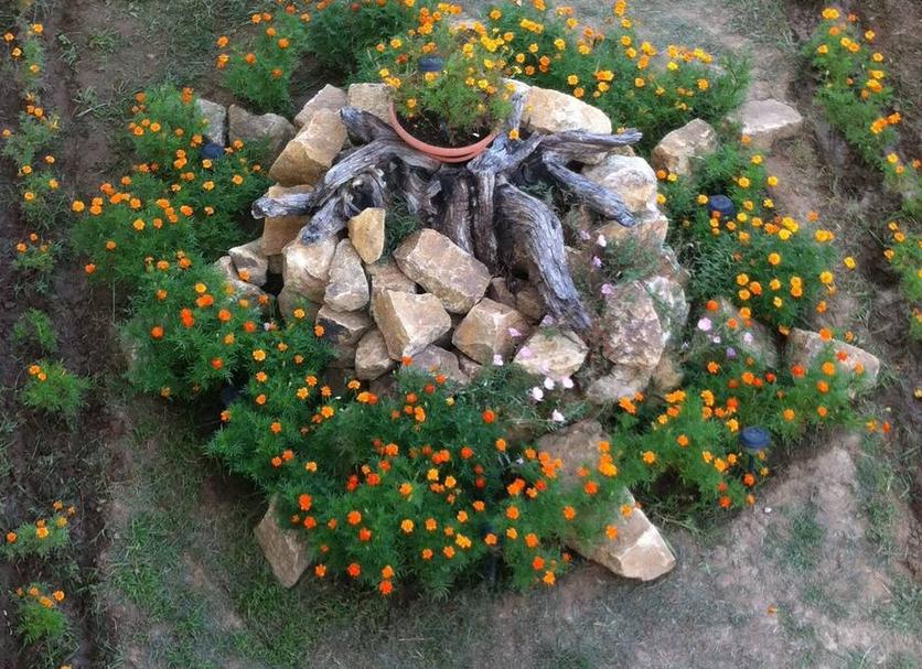 Outdoors view Photo