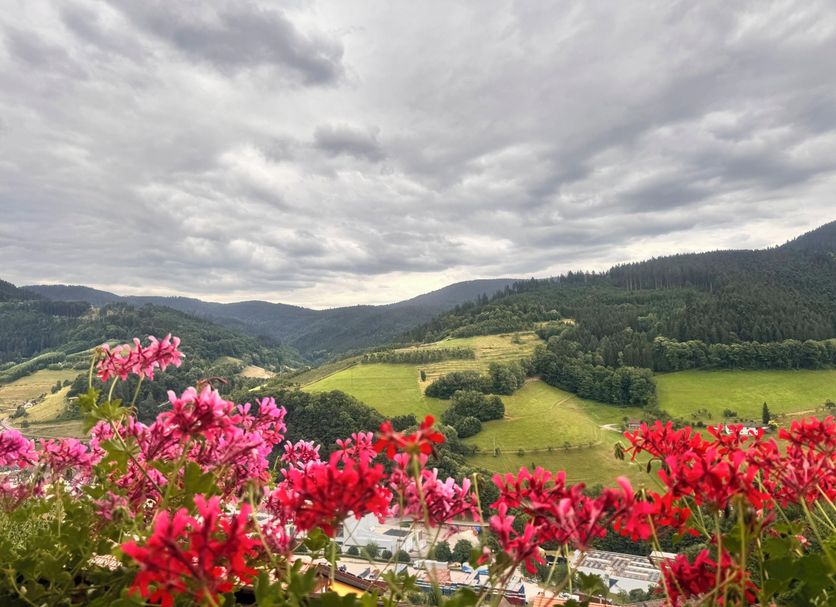 Hotel Schauinsland in Bad Peterstal-Griesbach with balcony flowers overlooking green hills and valley