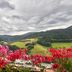 Hotel Schauinsland in Bad Peterstal-Griesbach with balcony flowers overlooking green hills and valley