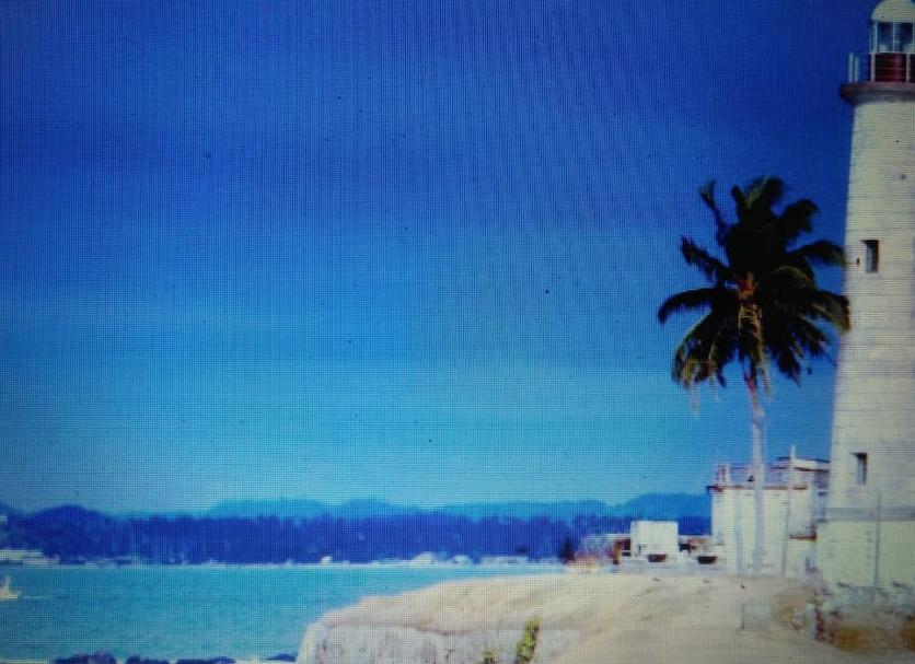 Other Photo