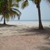 Oudja Hotel, Cap Skirring: palm trees on a sandy beach with ocean view
