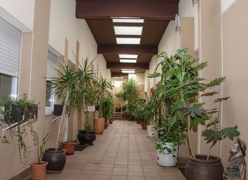 Ciudad de Alcala in Alcalá de Henares, indoor corridor with potted plants and tiled floor