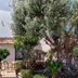 Hotel La Fayette Licola in Giugliano in Campania with a large olive tree in the courtyard