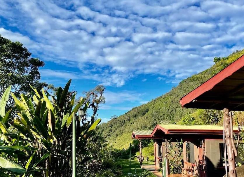 Outdoors view Photo