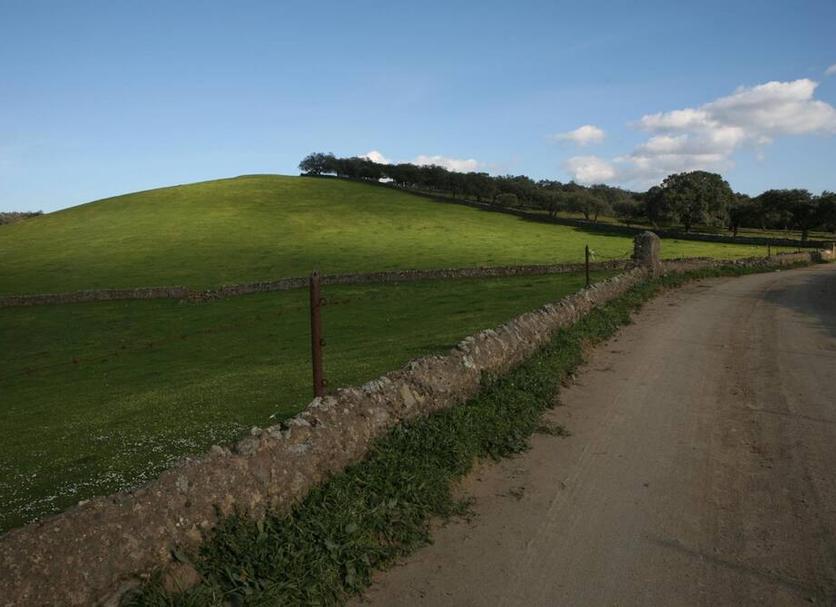 Outdoors view Photo