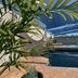 The Phoenix Artesian Spa Resort and Accommodation in Moree with shaded outdoor pool and palm plants