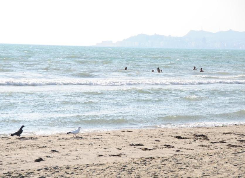 Beach Photo