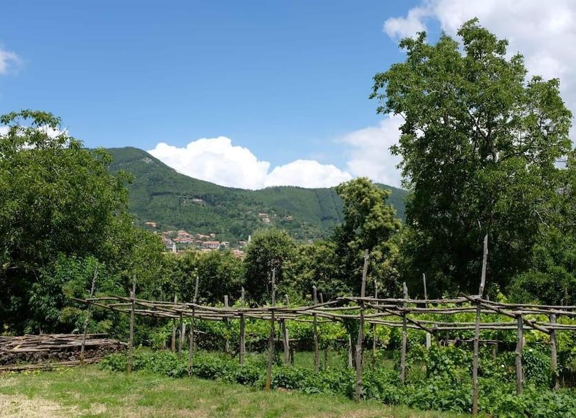 Outdoors view Photo
