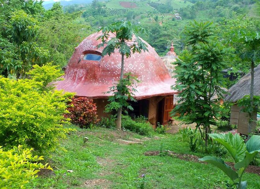Outdoors view Photo