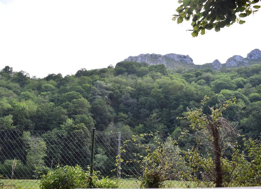 Outdoors view Photo