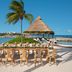 Dreams Aventuras Riviera Maya in Puerto Aventuras with beachside dining, palm tree, and ocean view