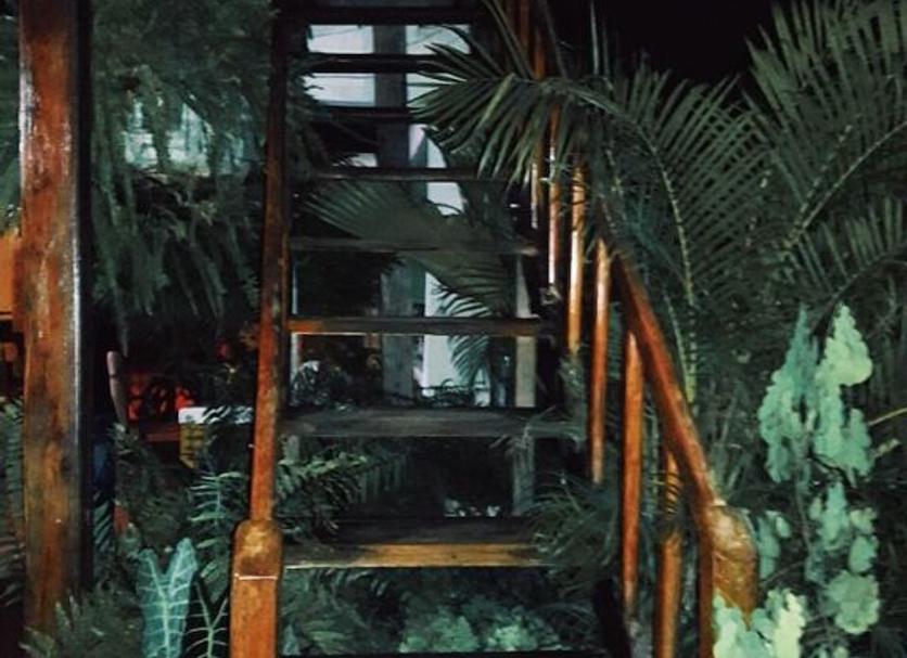Stairs Photo