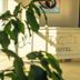 Tagüe hotel front desk in Gualeguaychú with reception counter and indoor plants