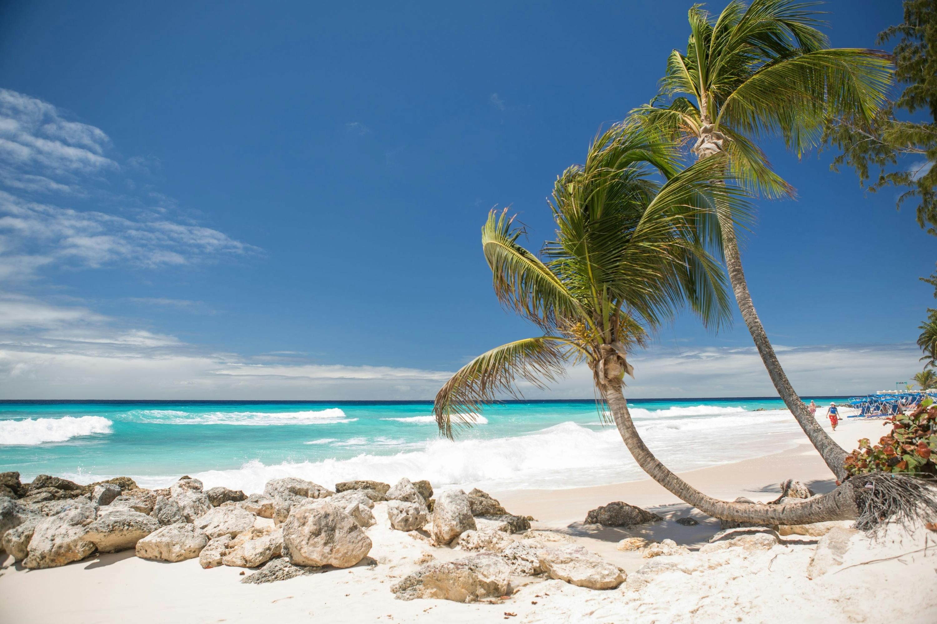 Turtle Beach Resort All Inc from $332. Christchurch Hotel Deals
