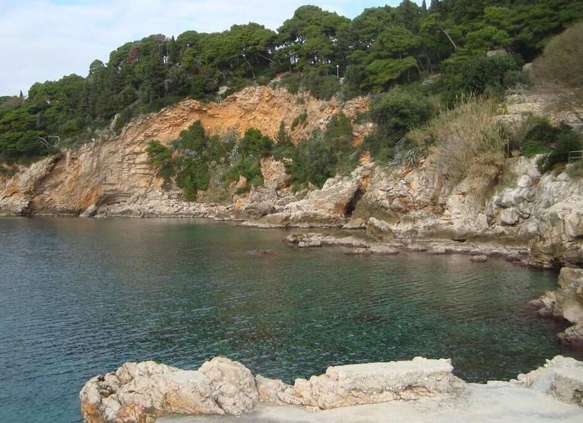Other Photo