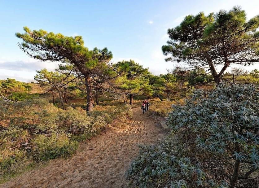 Outdoors view Photo
