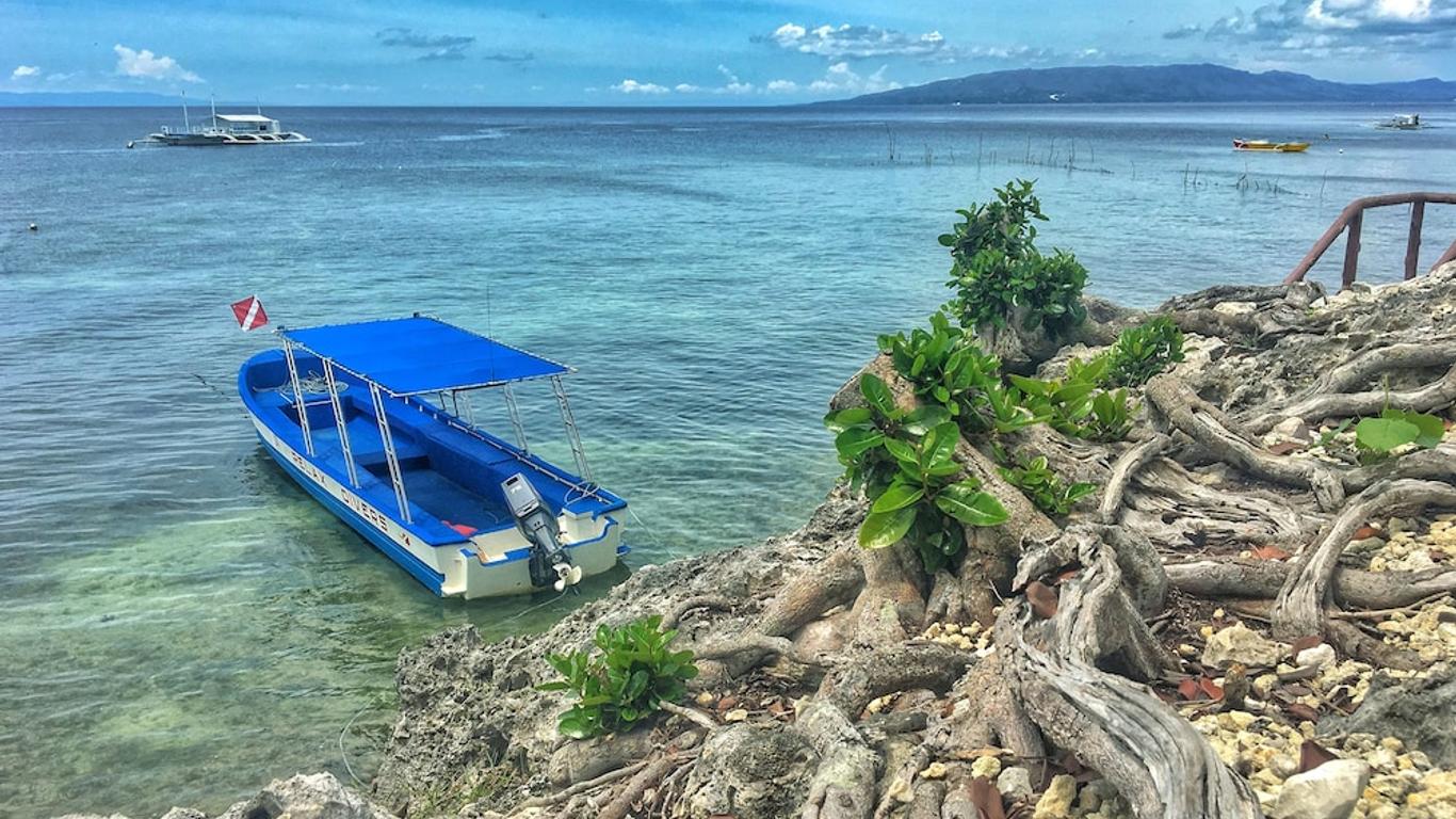 Relax Divers Bohol