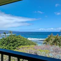 Watch the Whales from comfortable penthouse apartment!