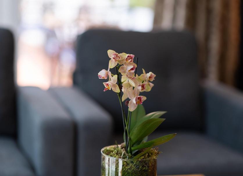 Room amenity Photo