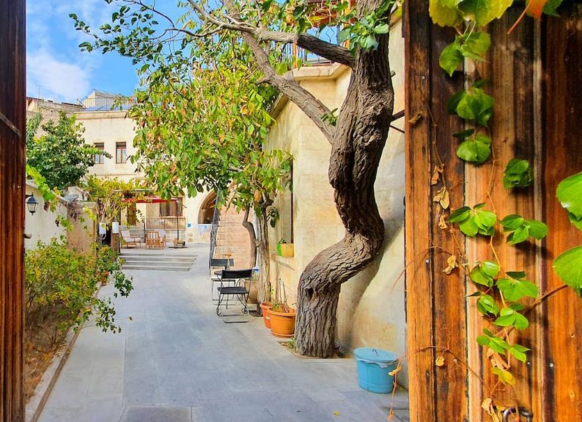 Outdoors view Photo