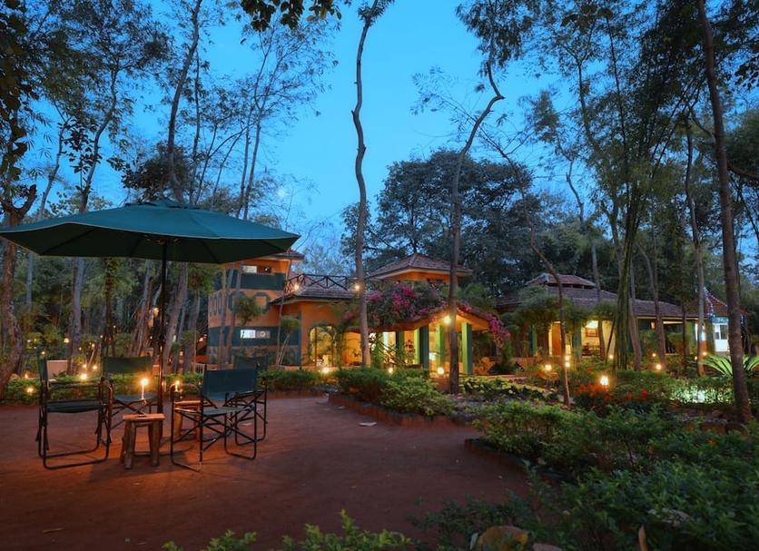 Patio Photo