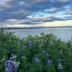 Outdoors view