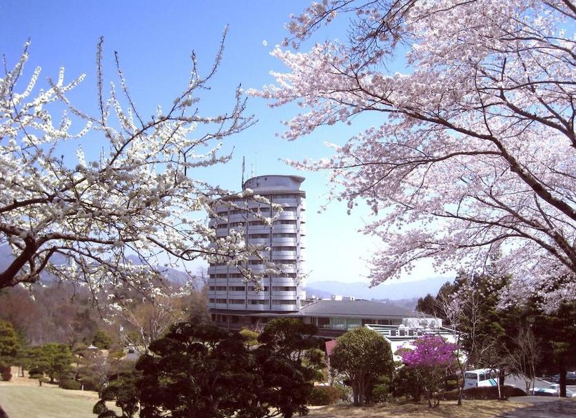 Other Photo