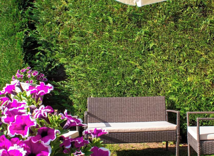 Patio Photo