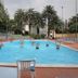 Tigullio Camping & Resort in Sestri Levante, outdoor pool with guests exercising and palm trees